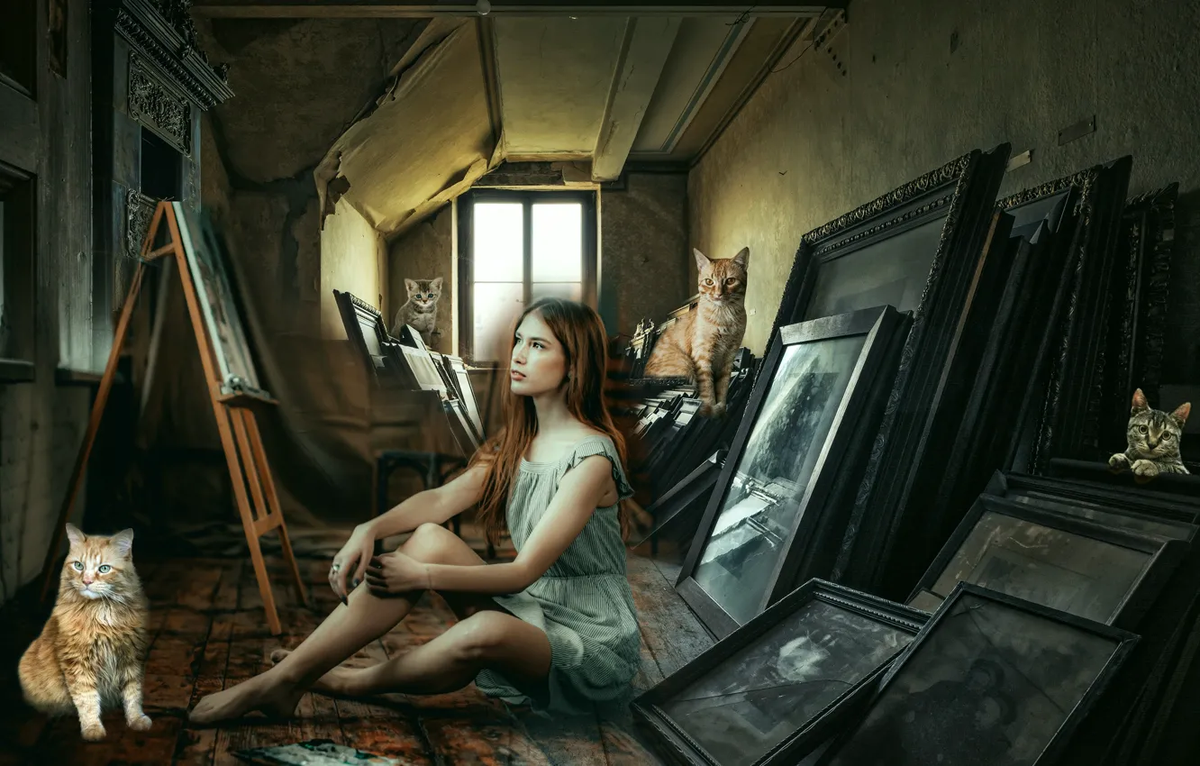 Photo wallpaper cat, cat, glass, girl, light, pose, rendering, collage