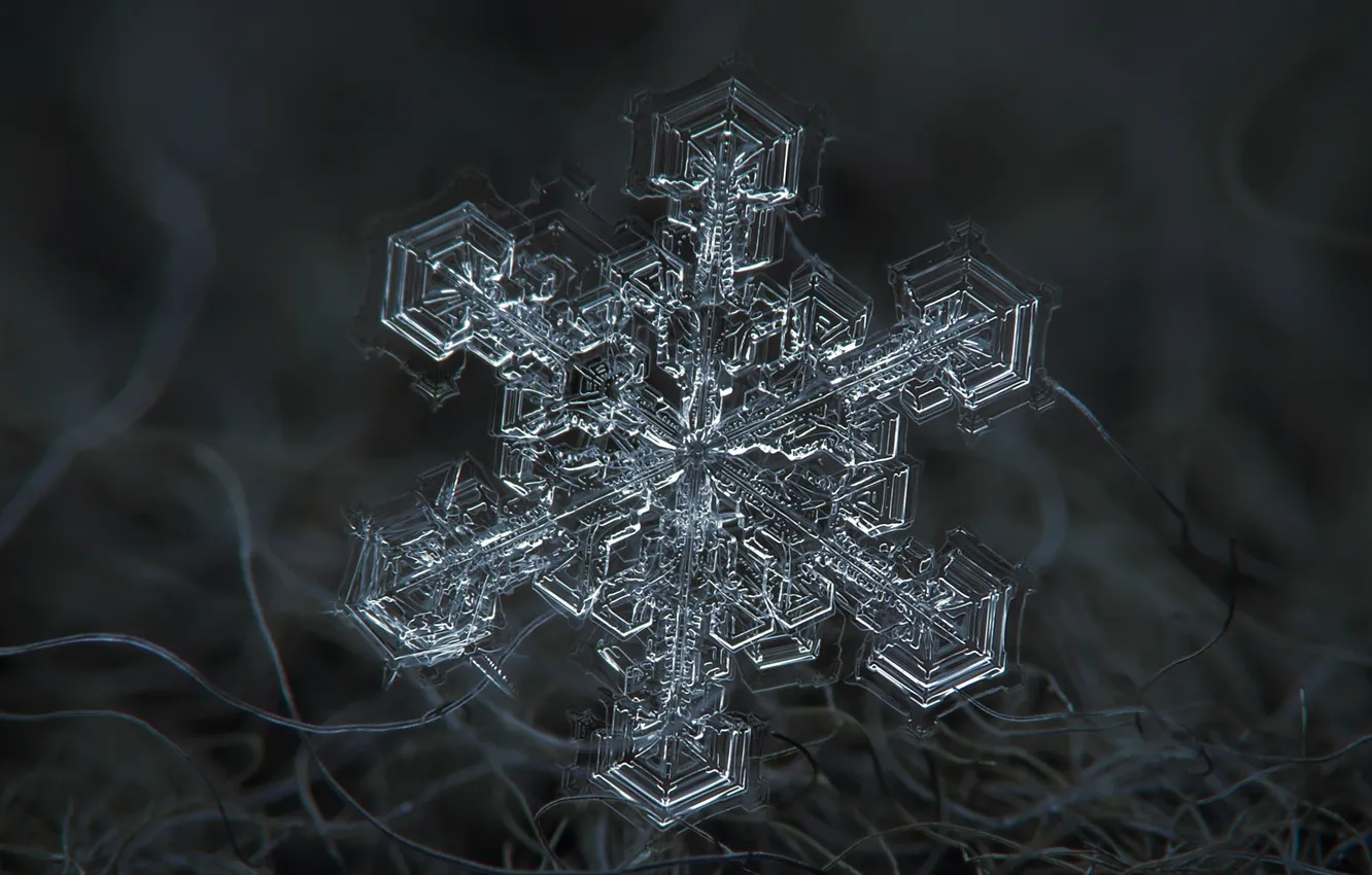Photo wallpaper winter, macro, snow, snowflakes, fiber