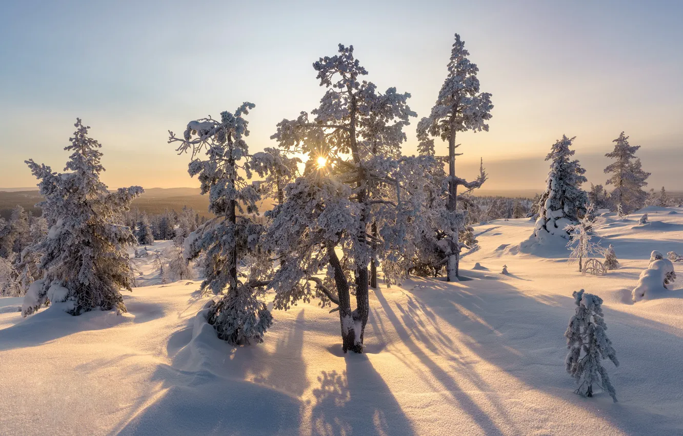 Photo wallpaper winter, snow, Finland, Finland, Akaslompolo, Freestyle Music Fur