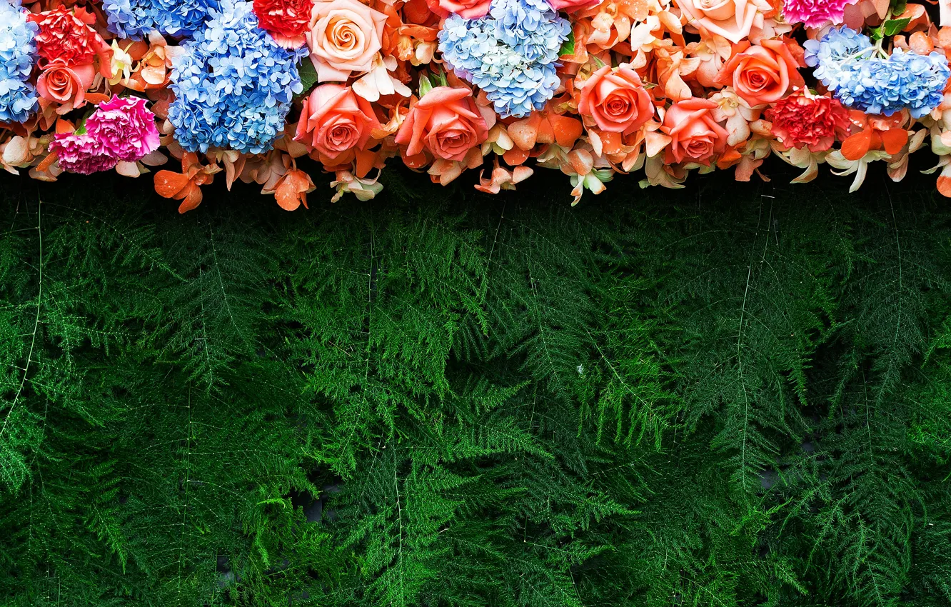 Photo wallpaper flowers, branches, background, roses, colorful, needles, flowers, roses