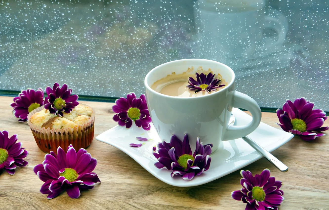 Photo wallpaper flowers, coffee, Cup, chrysanthemum, cupcake