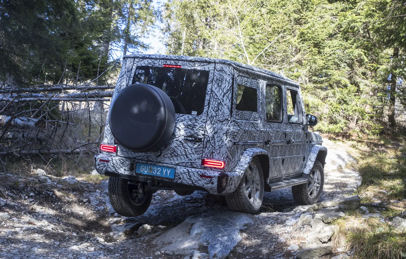 Photo wallpaper forest, stones, vegetation, Mercedes-Benz, disguise, rear view, film, 2018