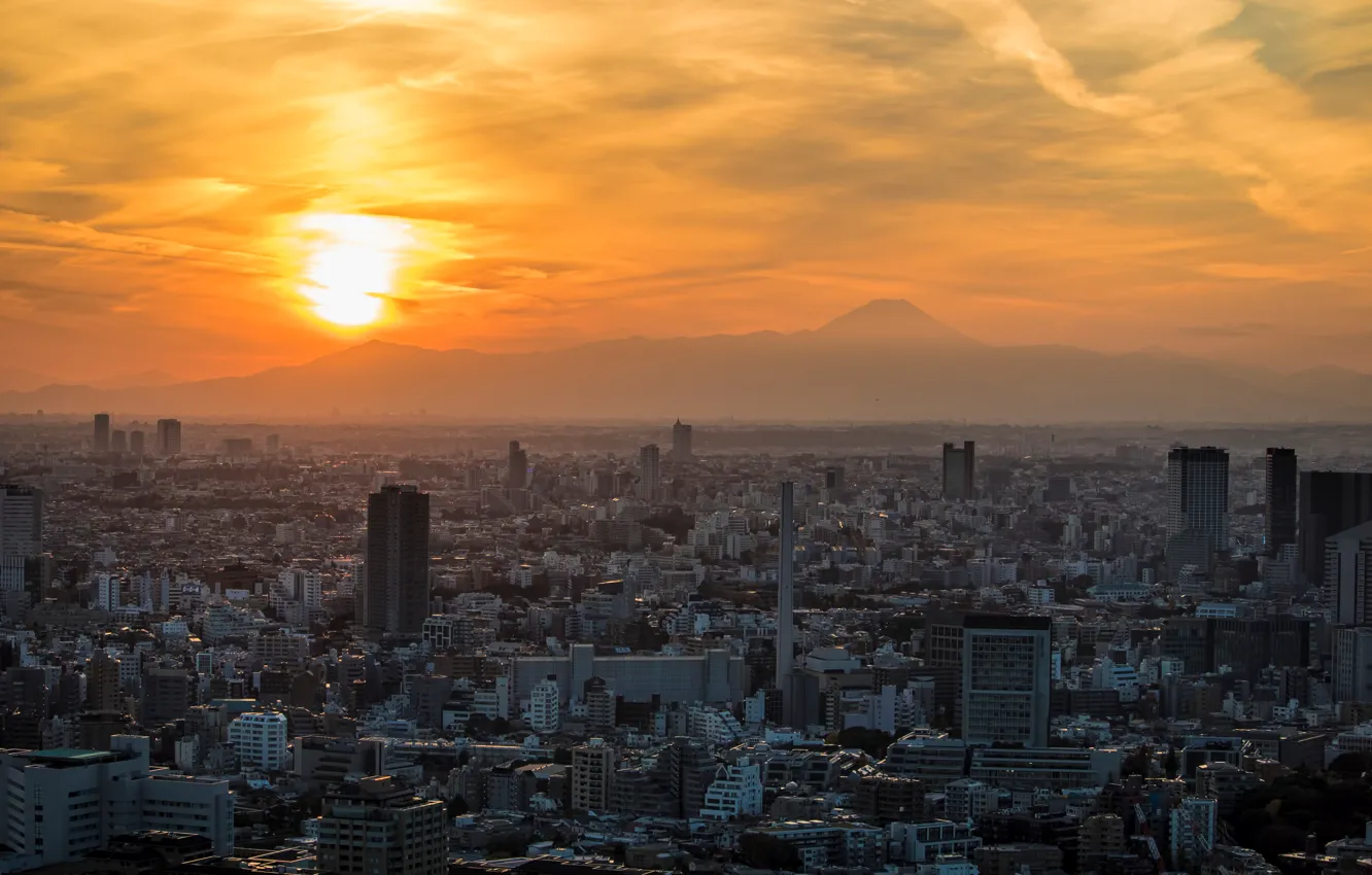 Photo wallpaper dawn, home, skyscrapers, panorama, Tokyo, megapolis