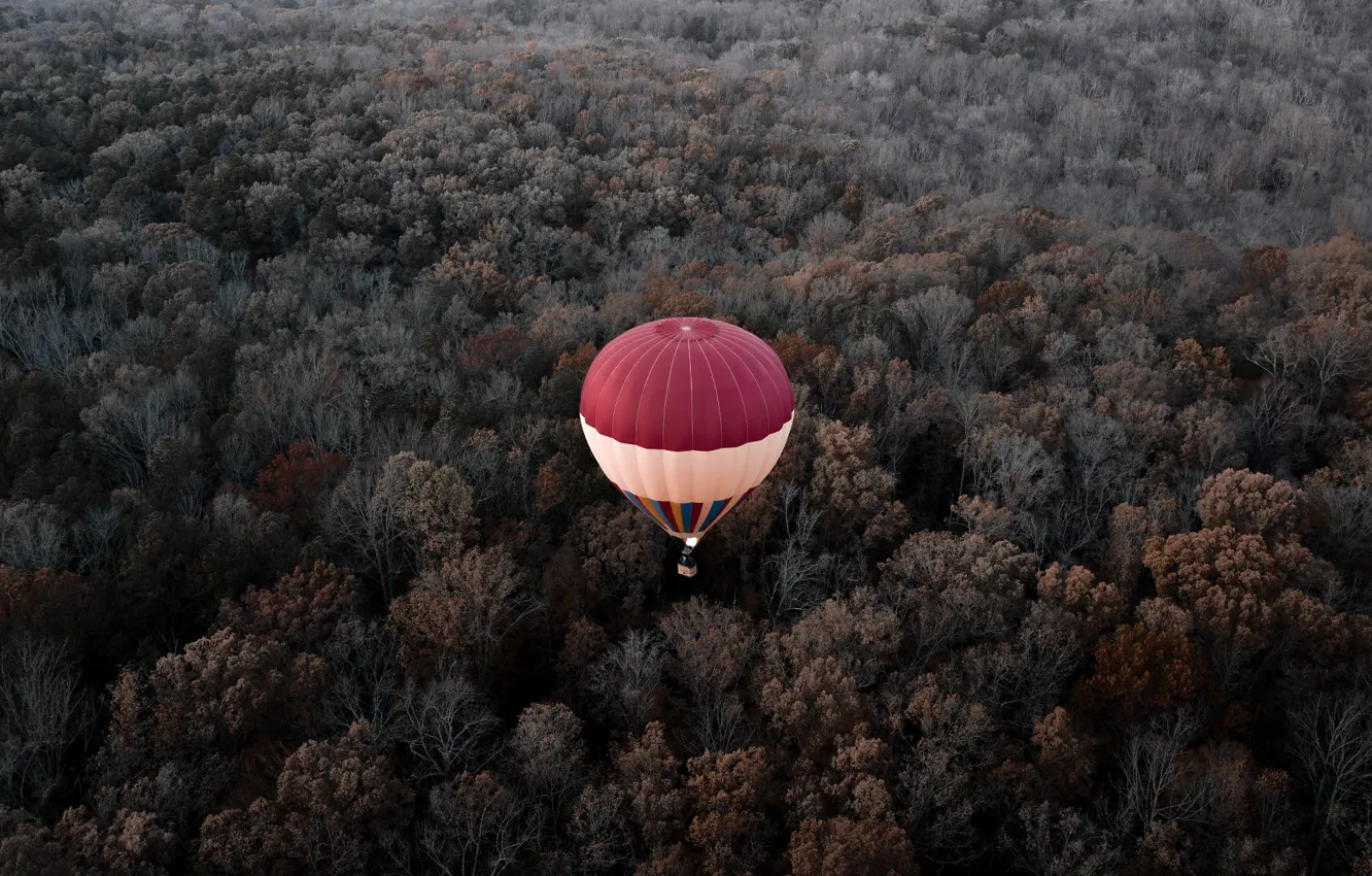 Photo wallpaper autumn, forest, flight, balloon, height, VA, USA, America