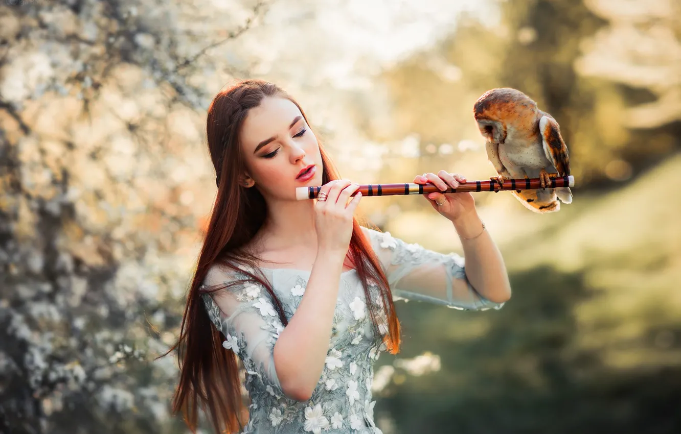 Photo wallpaper girl, mood, owl, bird, bokeh, by Olga Boyko, Alexander Gir
