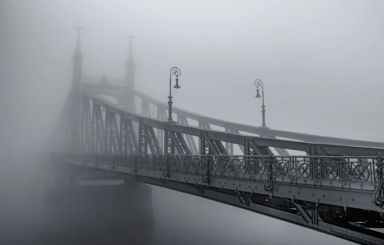 Photo wallpaper bridge, the city, fog, haze, black and white photo