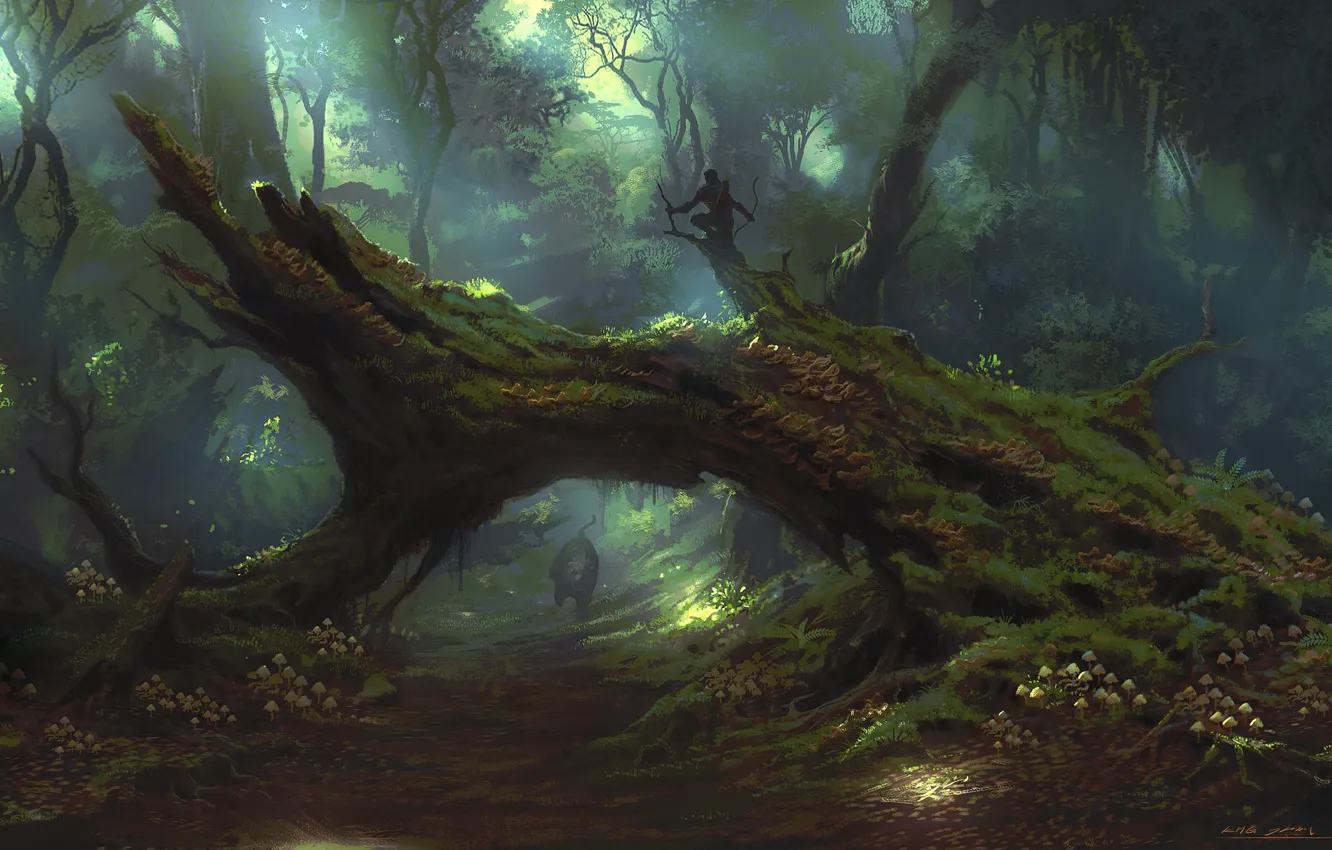 Photo wallpaper forest, cat, animal, Panther, art, forest, hunter, cat