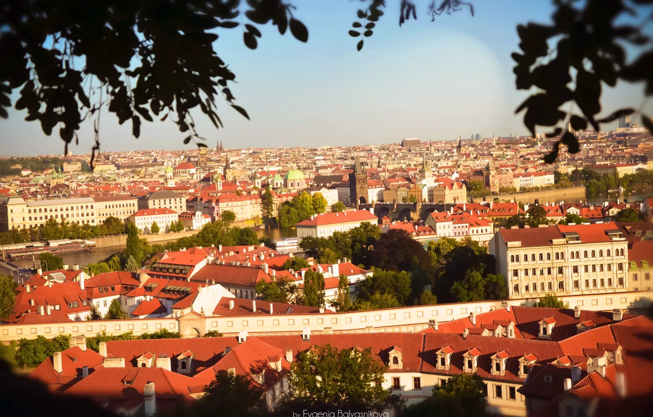 Photo wallpaper trees, bridge, nature, the city, river, view, building, home
