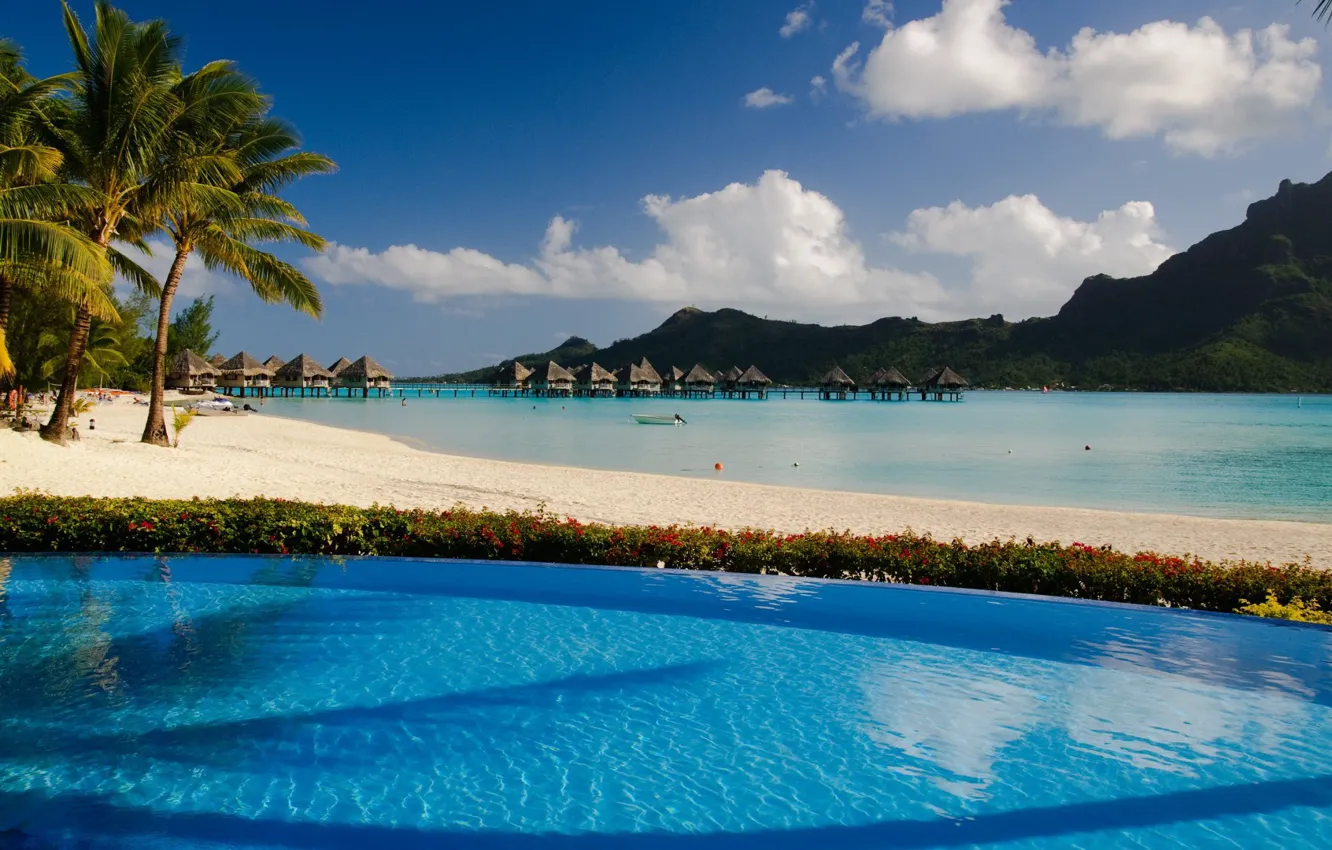 Photo wallpaper beach, palm trees, the ocean, pool, resort, Bora-Bora, Le-Meridien