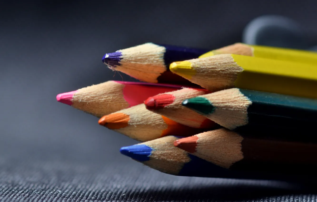 Photo wallpaper macro, color, pencils