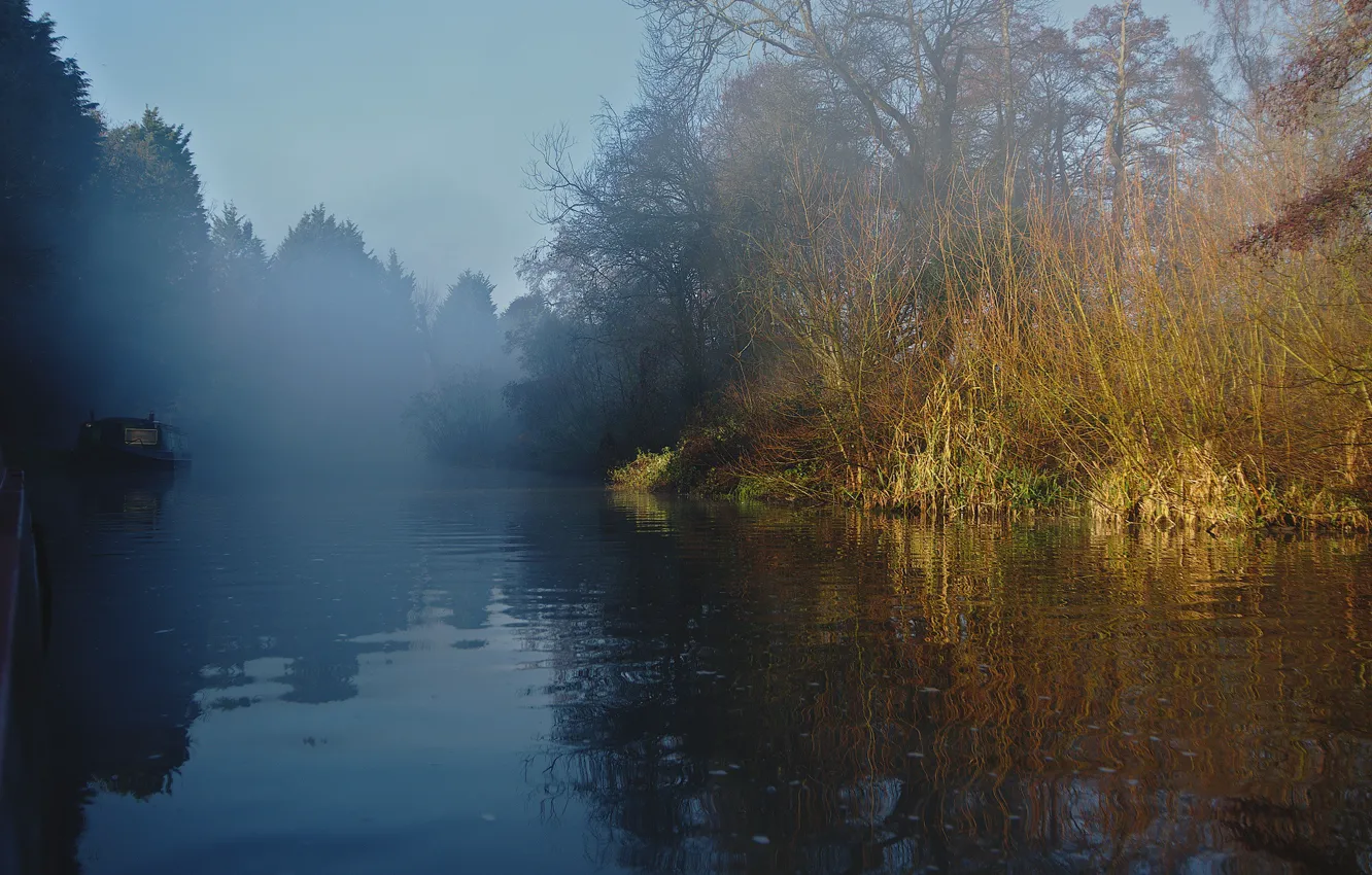 Photo wallpaper forest, the sun, trees, fog, river, morning