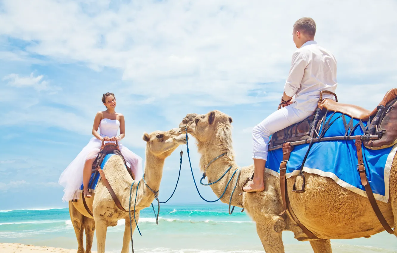 Photo wallpaper sea, beach, beach, sea, camels, a couple in love, camel, couple in love