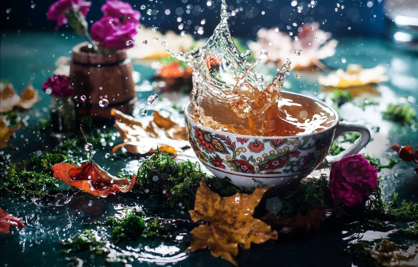 Photo wallpaper autumn, leaves, water, flowers, squirt, tea, moss, Cup