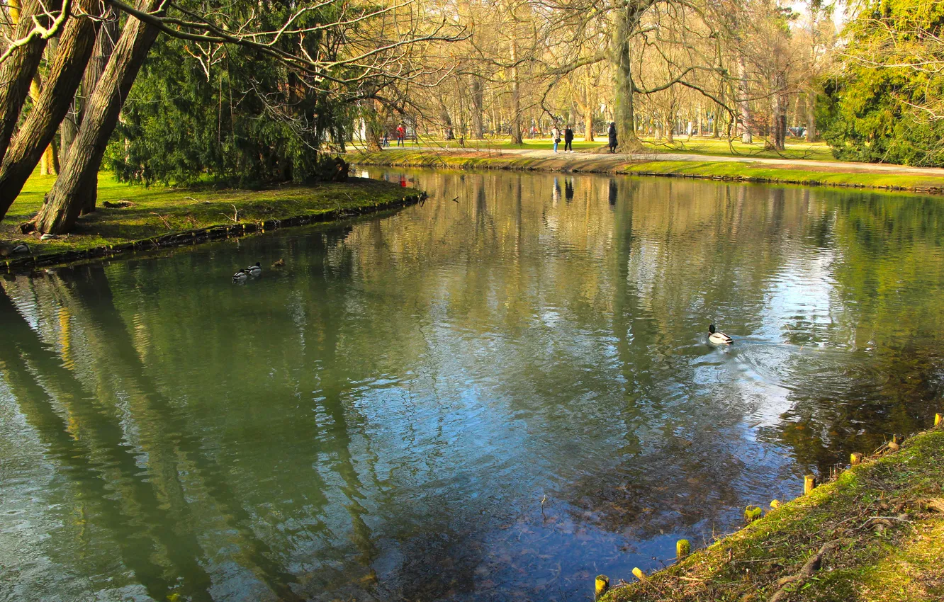 Photo wallpaper river, water, park, pond