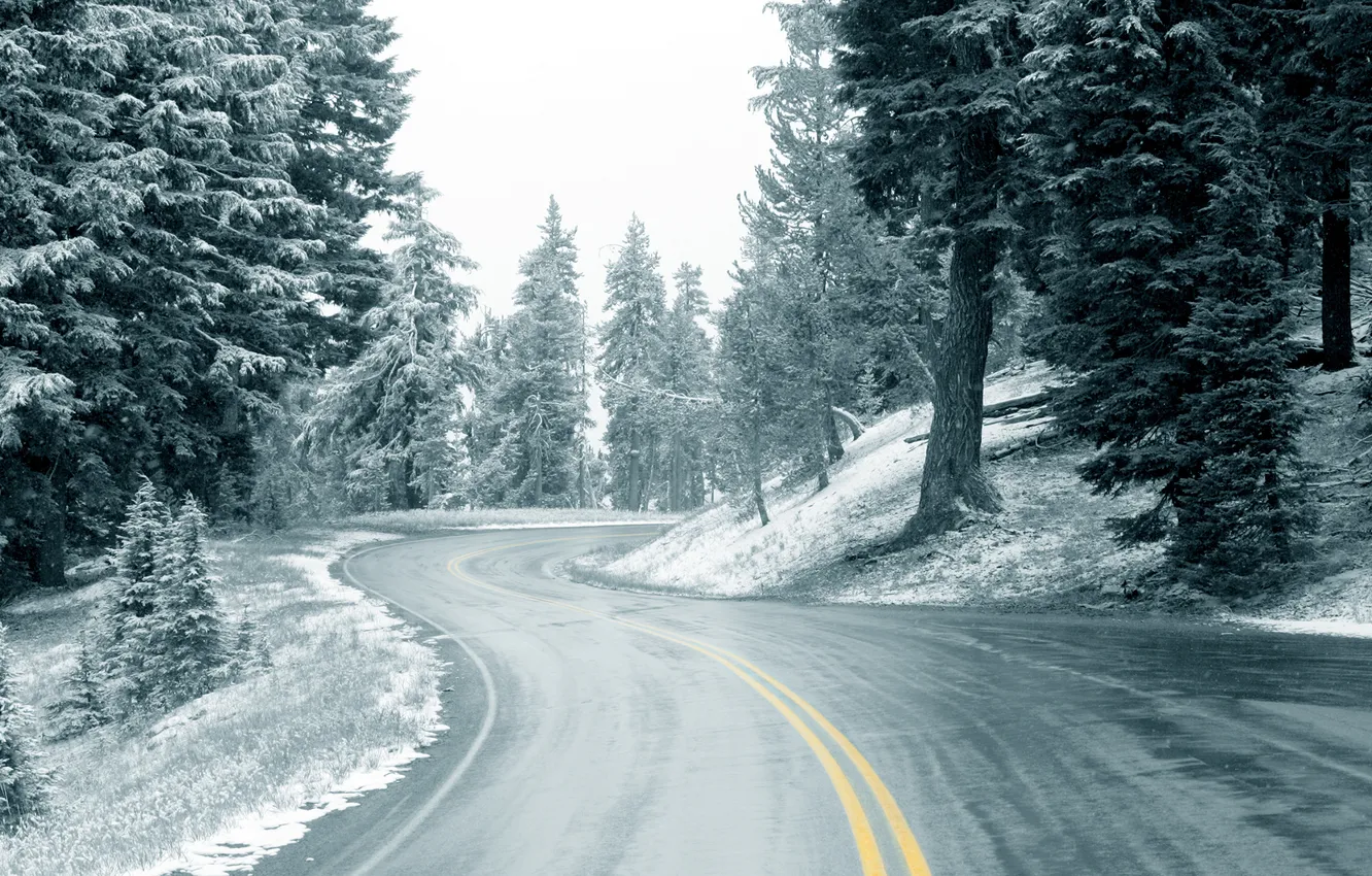 Photo wallpaper winter, road, forest, the sky, asphalt, clouds, snow, trees