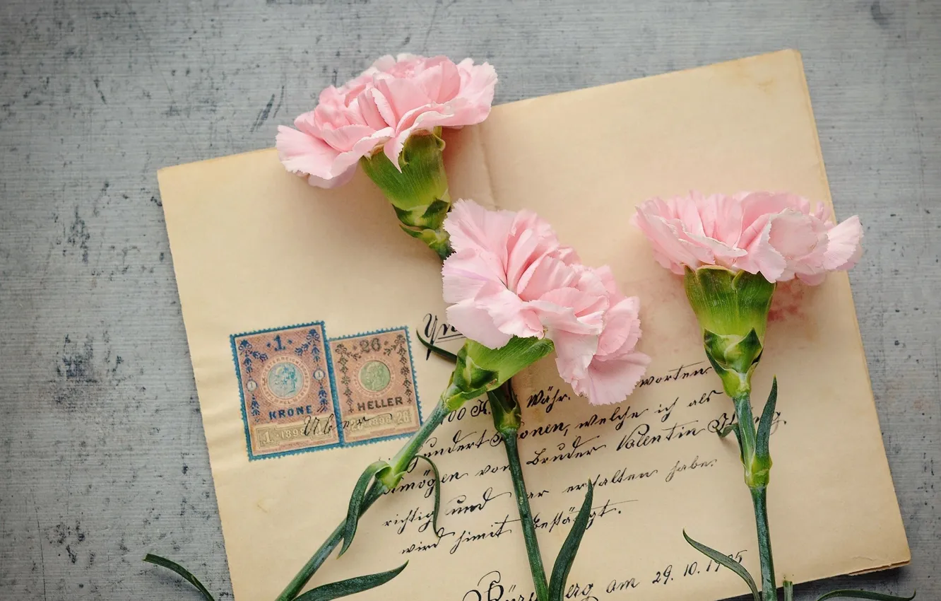 Photo wallpaper flowers, pink, clove