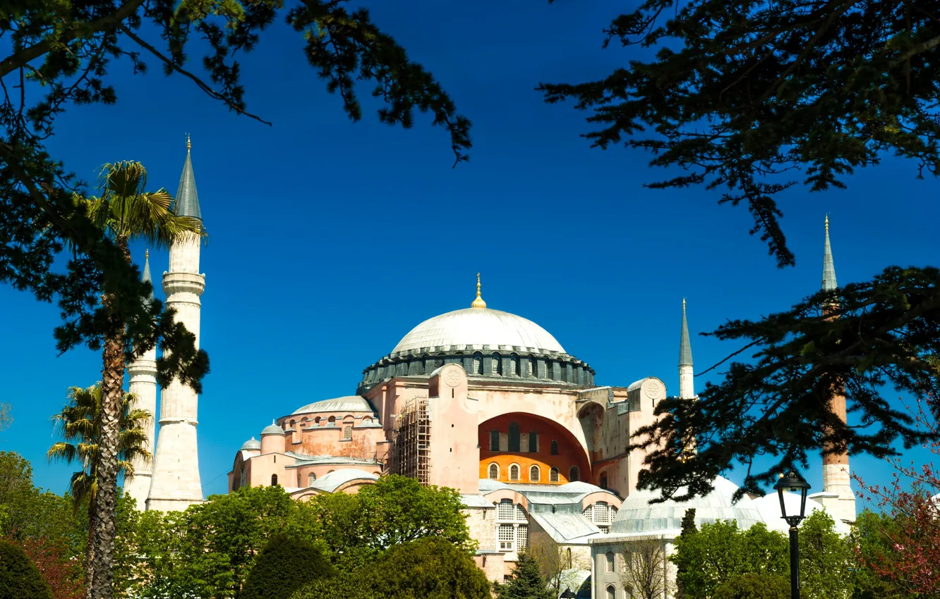Photo wallpaper the sun, trees, branches, palm trees, tower, temple, Istanbul, Turkey