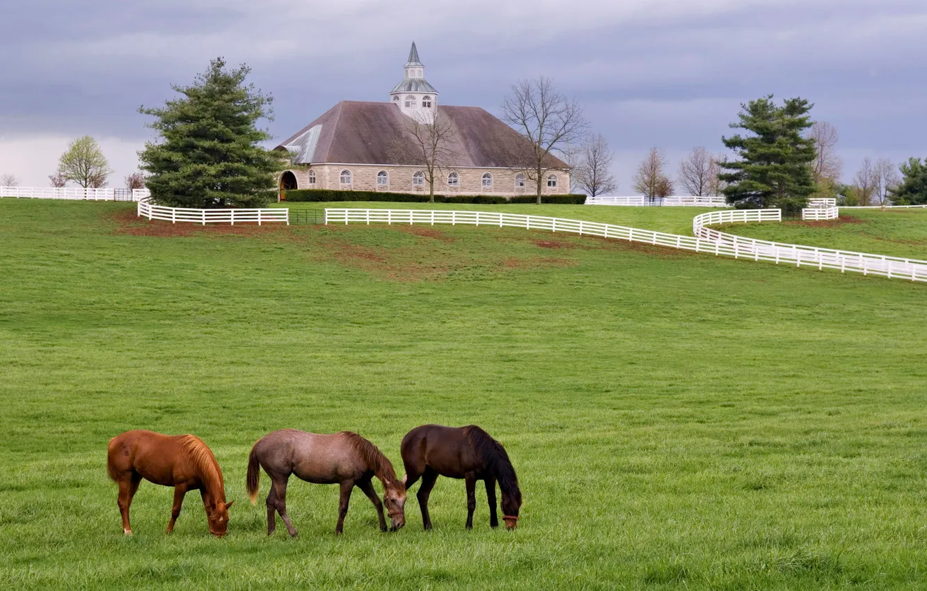 Photo wallpaper landscape, horse, the fence, home, meadow, estate