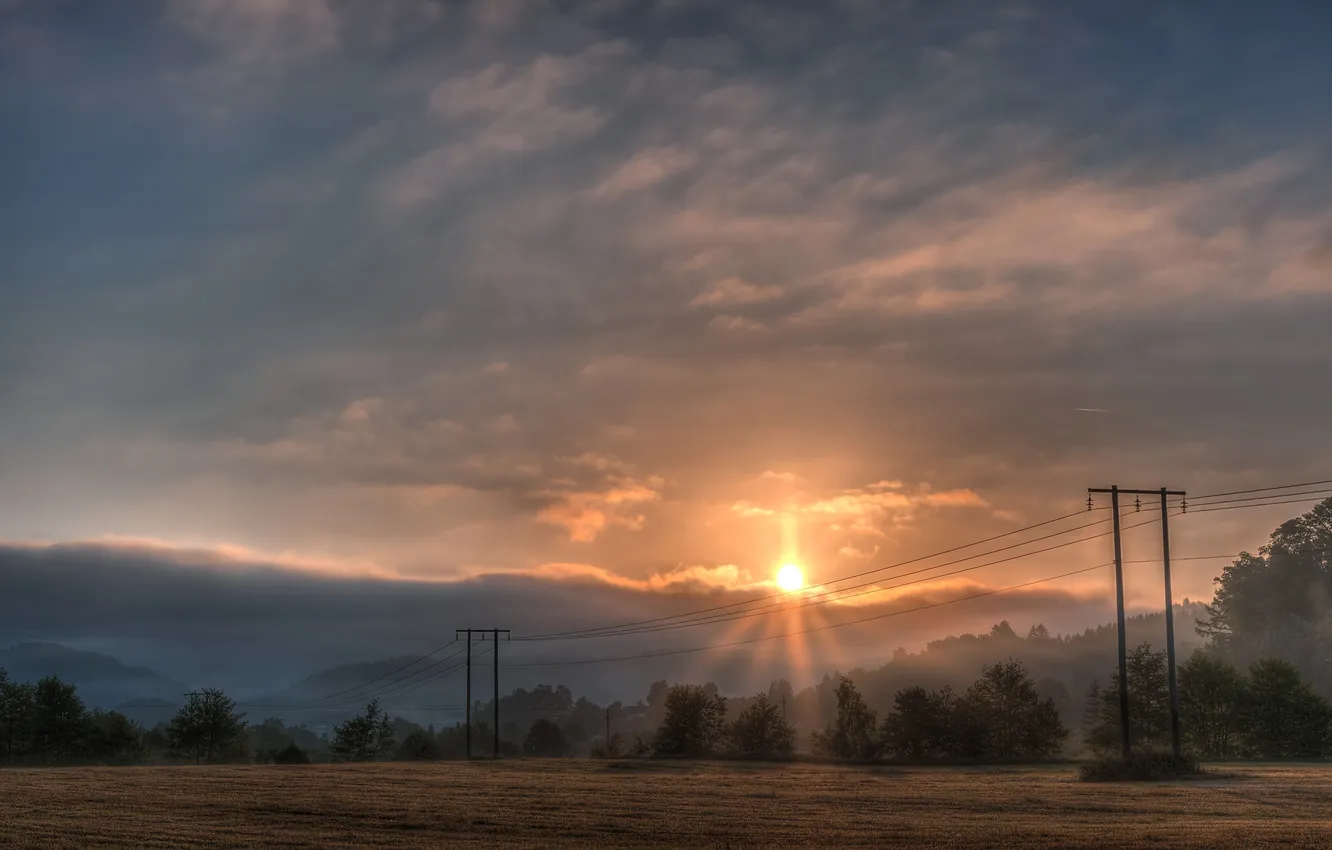 Photo wallpaper field, the sun, trees, clouds, fog, posts, wire, morning
