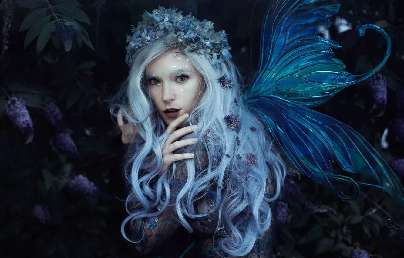Photo wallpaper look, girl, style, hair, fairy, wings, wreath, Bella Kotak