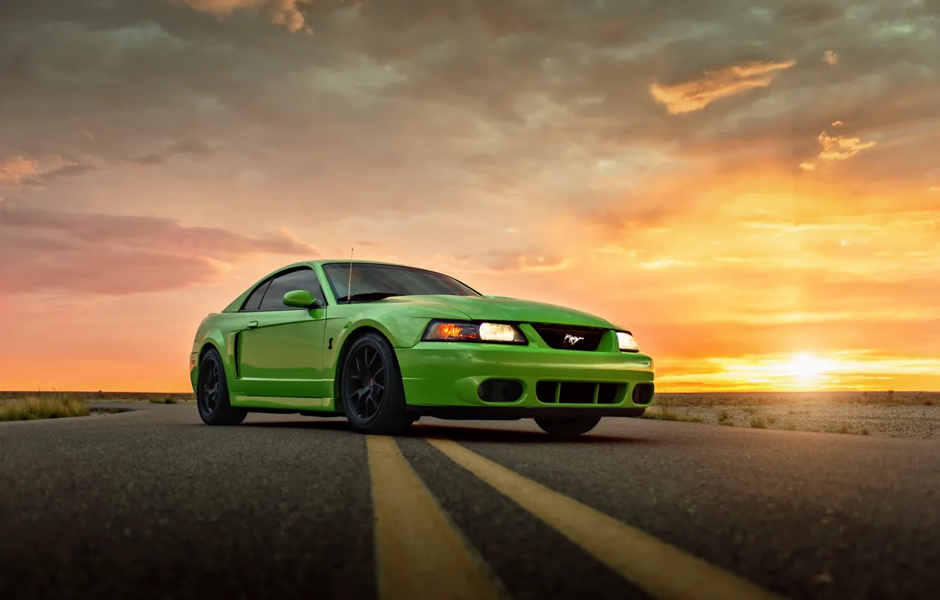 Photo wallpaper Mustang, Ford, Cobra, SVT