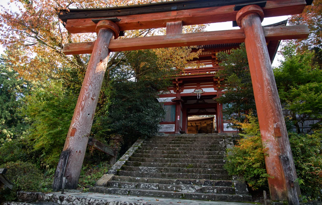 Photo wallpaper Nature, Japan, Ladder, Gate, Temple, Torii