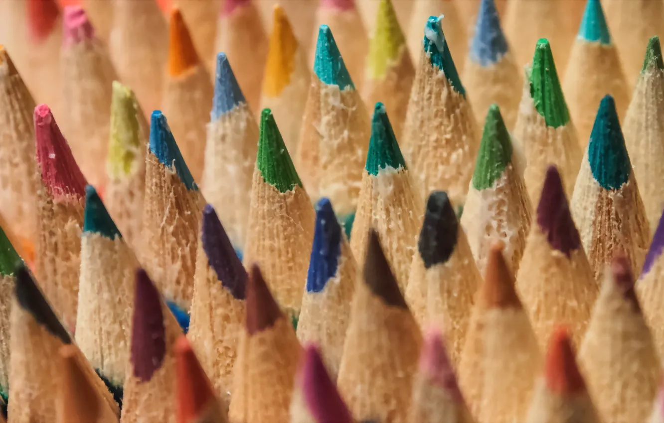 Photo wallpaper macro, pencils, I Am Charlie