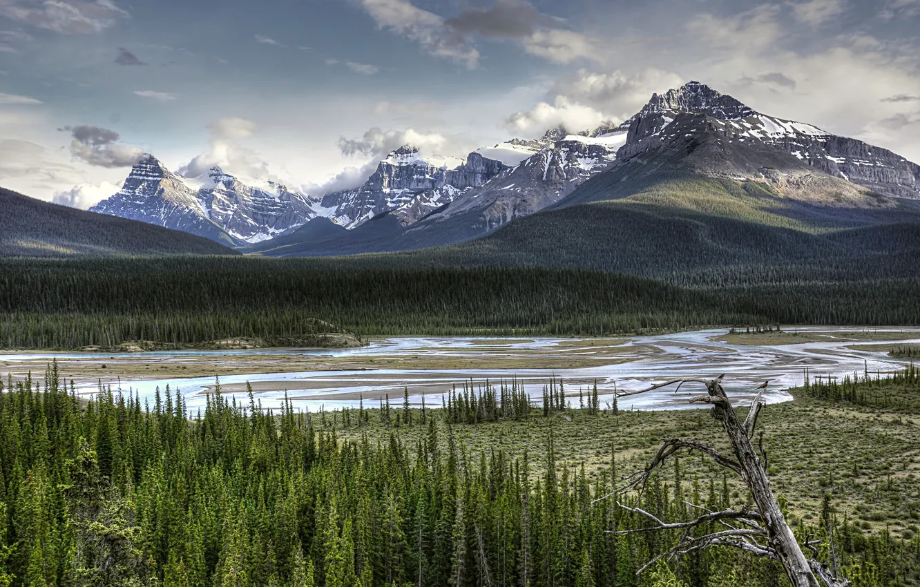 Photo wallpaper Banff National Park, Alberta, river, trees, landscape, mountains, Jasper National Park, Canada.