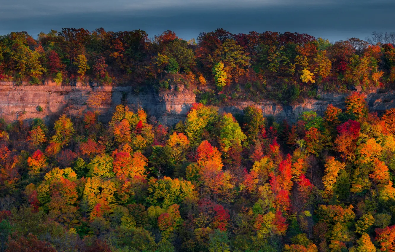 Photo wallpaper autumn, forest, trees, rocks, Canada, Ontario