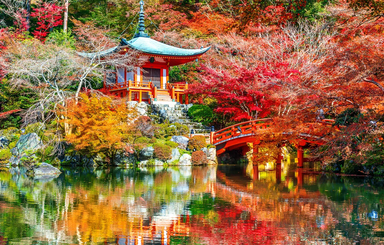 Photo wallpaper autumn, leaves, trees, Park, Japan, Kyoto, nature, bridge