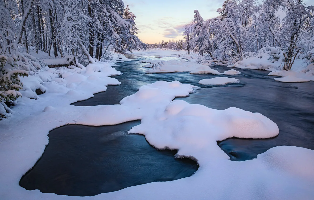 Photo wallpaper winter, forest, river