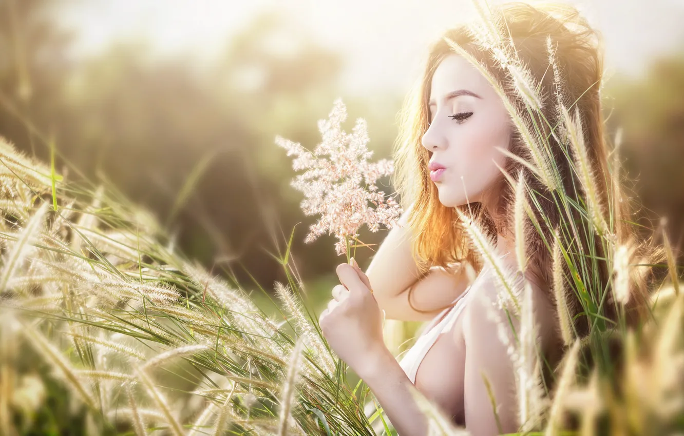 Photo wallpaper spikelets, profile, grass, field, nature, brown hair, greens, light