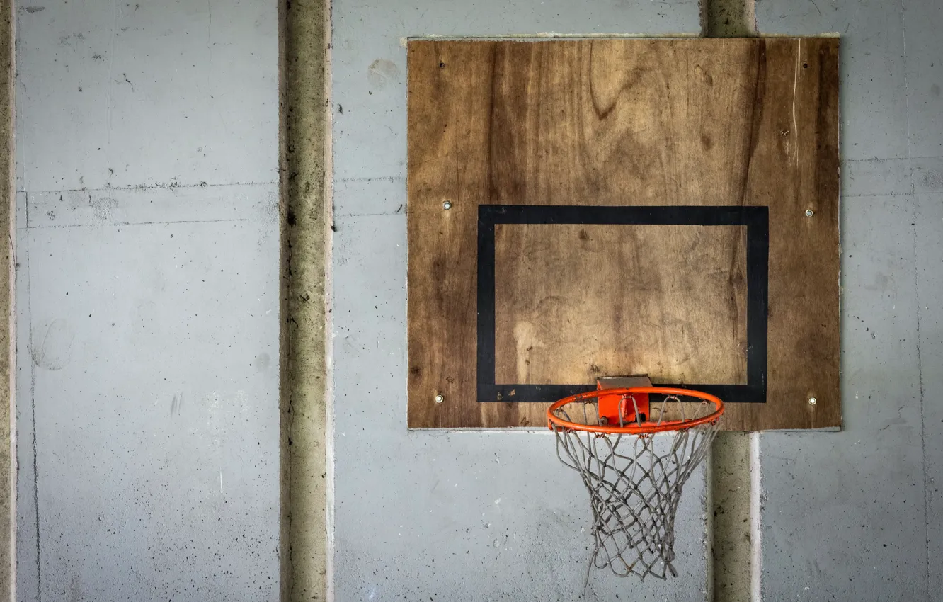 Photo wallpaper sport, shield, basketball
