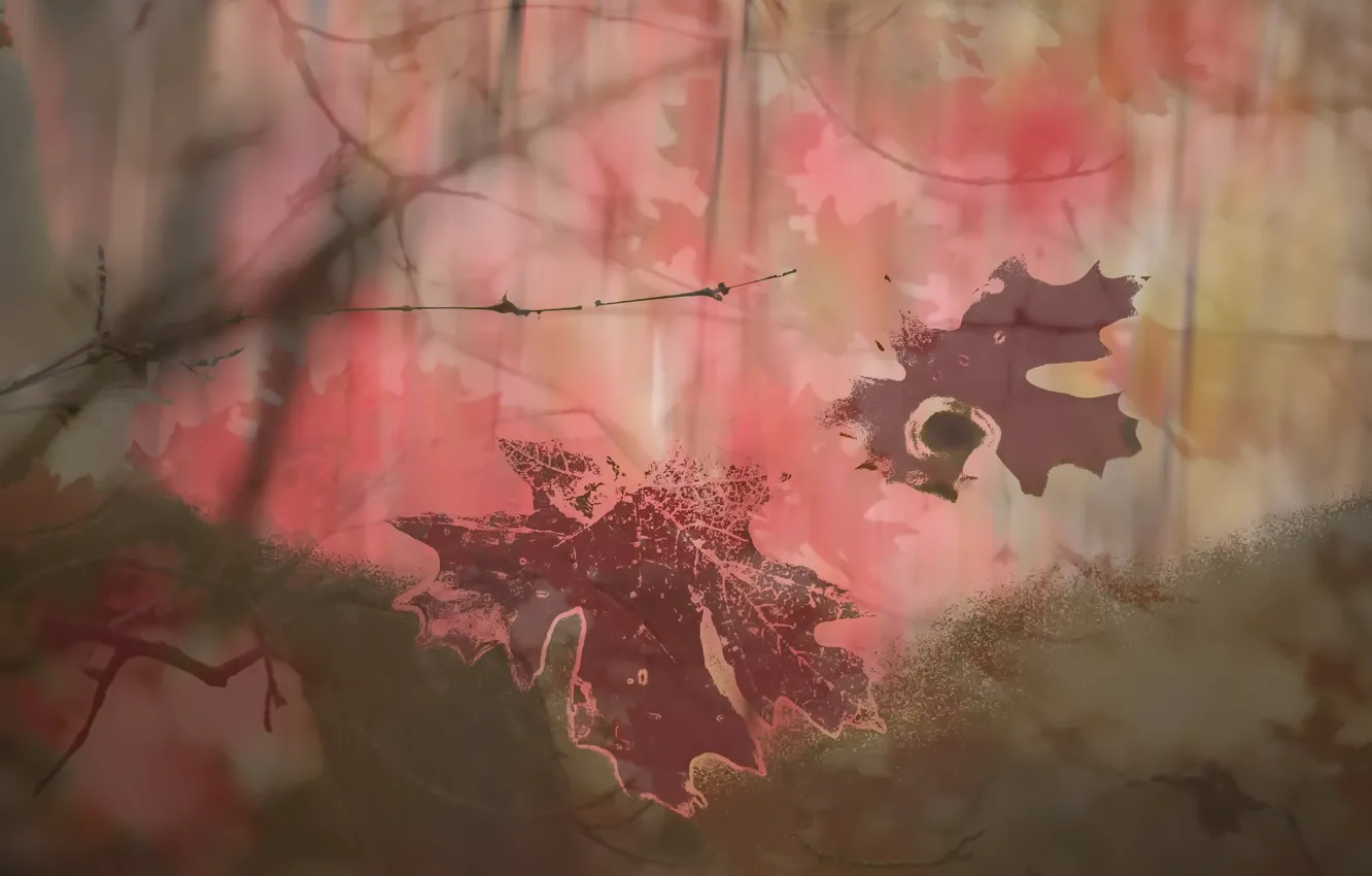 Photo wallpaper leaves, background, color