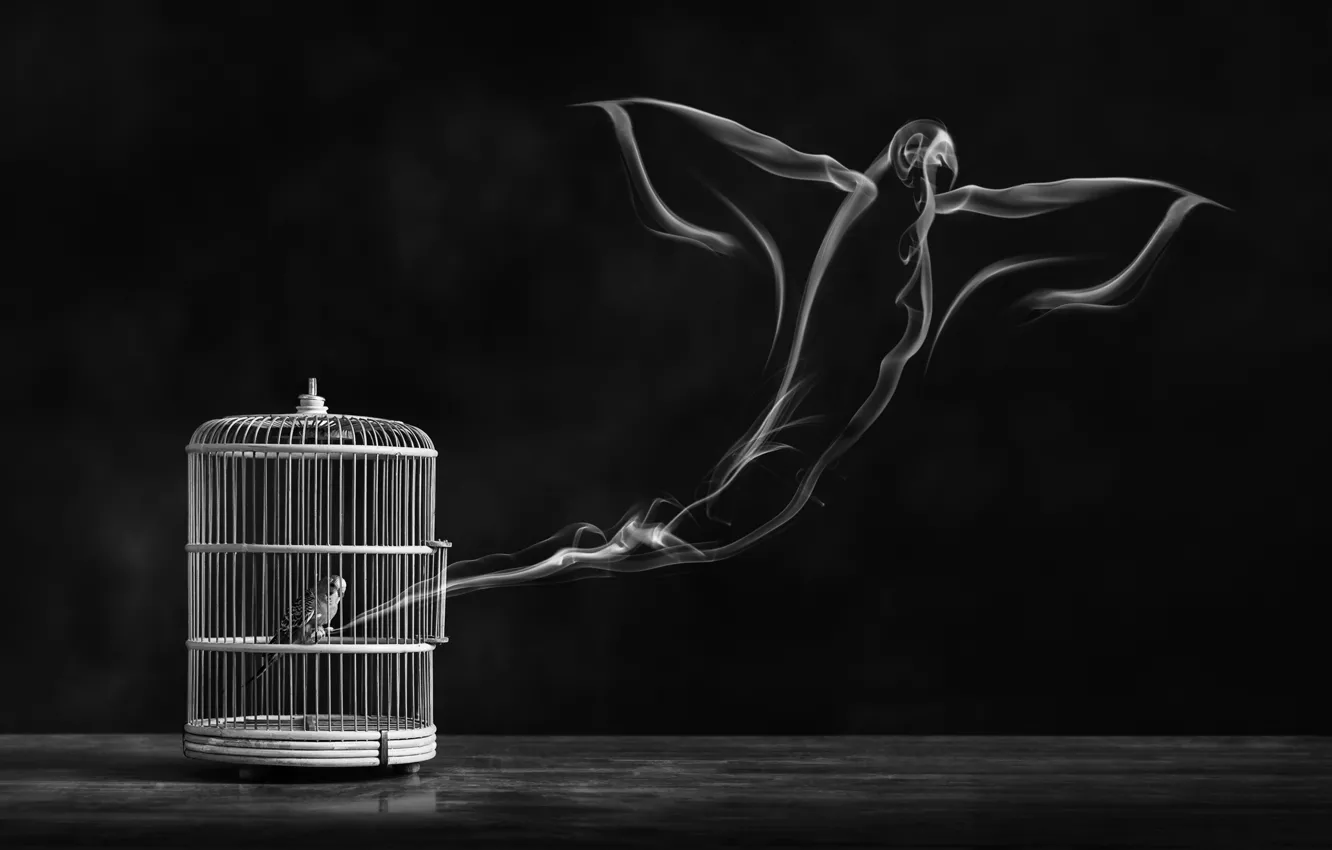 Photo wallpaper freedom, bird, cell, bird, freedom, cage, Alaa Al-Shurafa