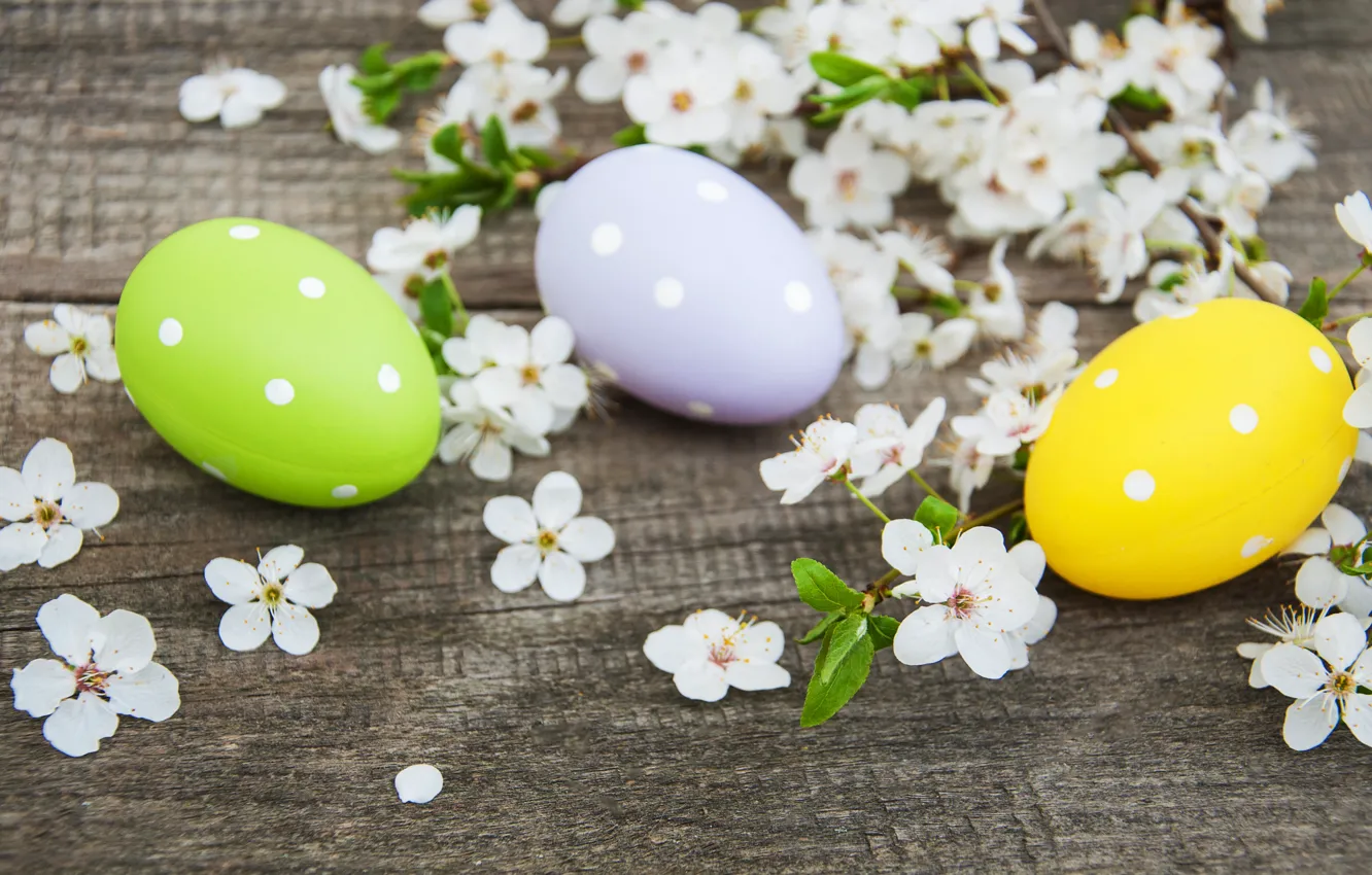 Photo wallpaper flowers, eggs, spring, colorful, Easter, happy, wood, blossom