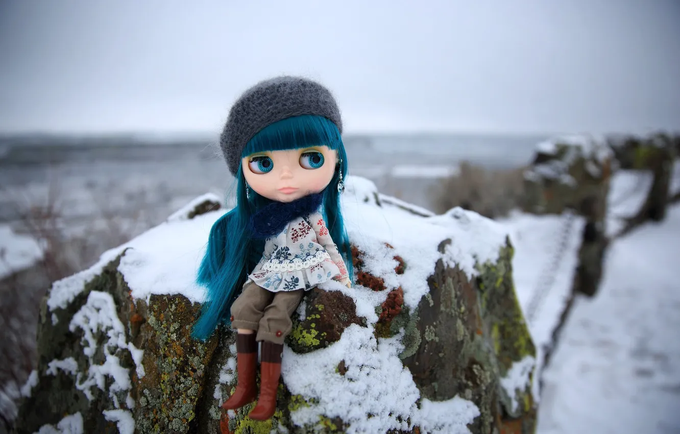Photo wallpaper winter, hat, stone, toy, doll, sitting, blue hair