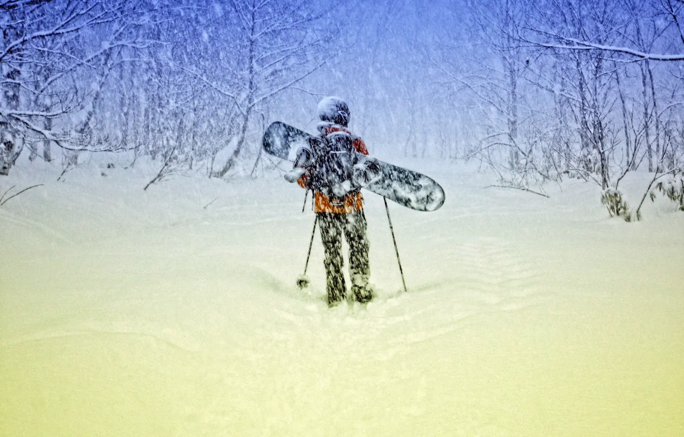 Photo wallpaper snow, trees, the wind, people