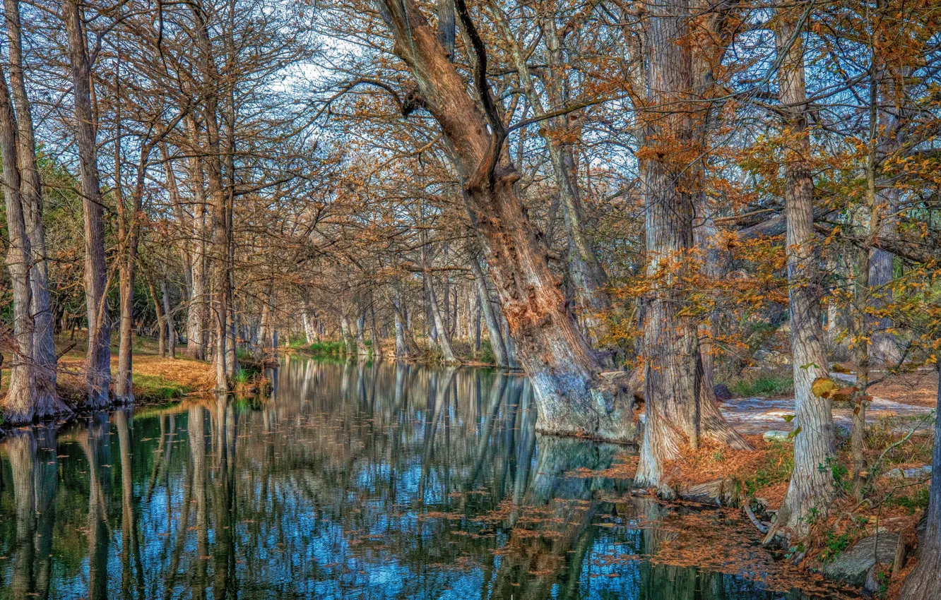 Photo wallpaper Texas, Wimberley, Cypress Creek