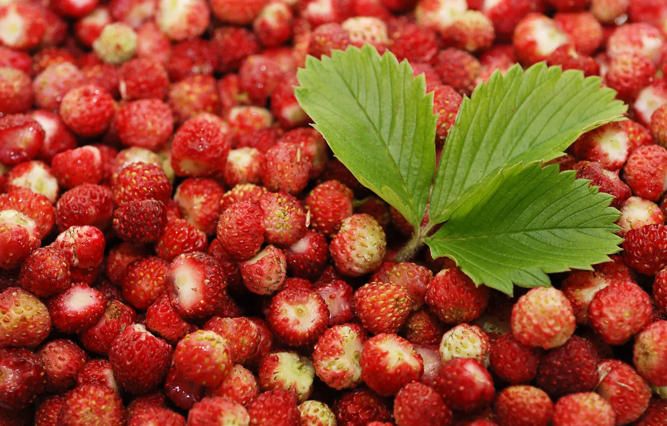 Photo wallpaper leaves, red, background, widescreen, Wallpaper, strawberries, leaf, wallpaper