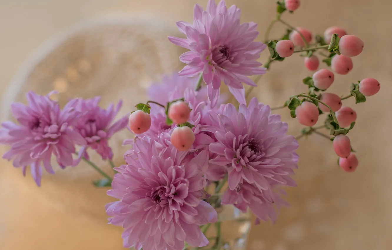 Photo wallpaper bouquet, petals, chrysanthemum