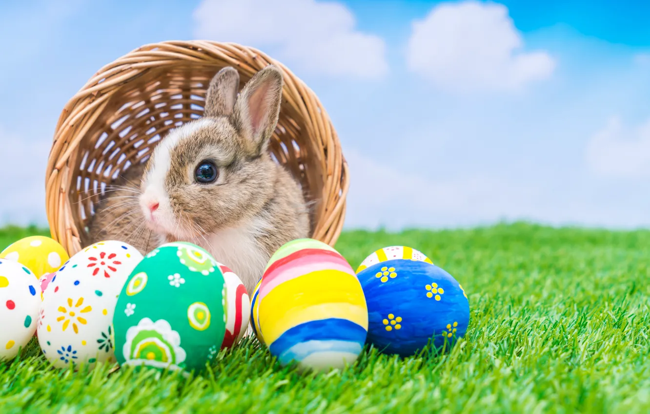 Photo wallpaper holiday, basket, rabbit, Easter, eggs dyed