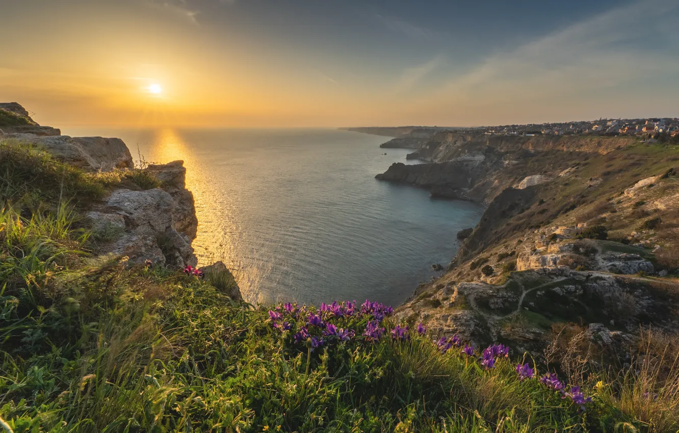 Photo wallpaper sea, landscape, sunset, flowers, nature, rocks, grass, Crimea