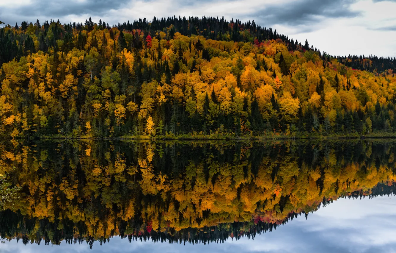 Photo wallpaper autumn, forest, clouds, trees, lake, reflection, shore, yellow