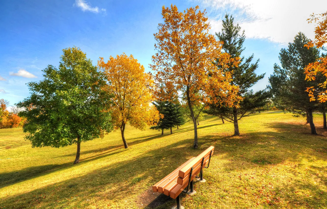 Photo wallpaper autumn, the sky, grass, trees, Park, bench