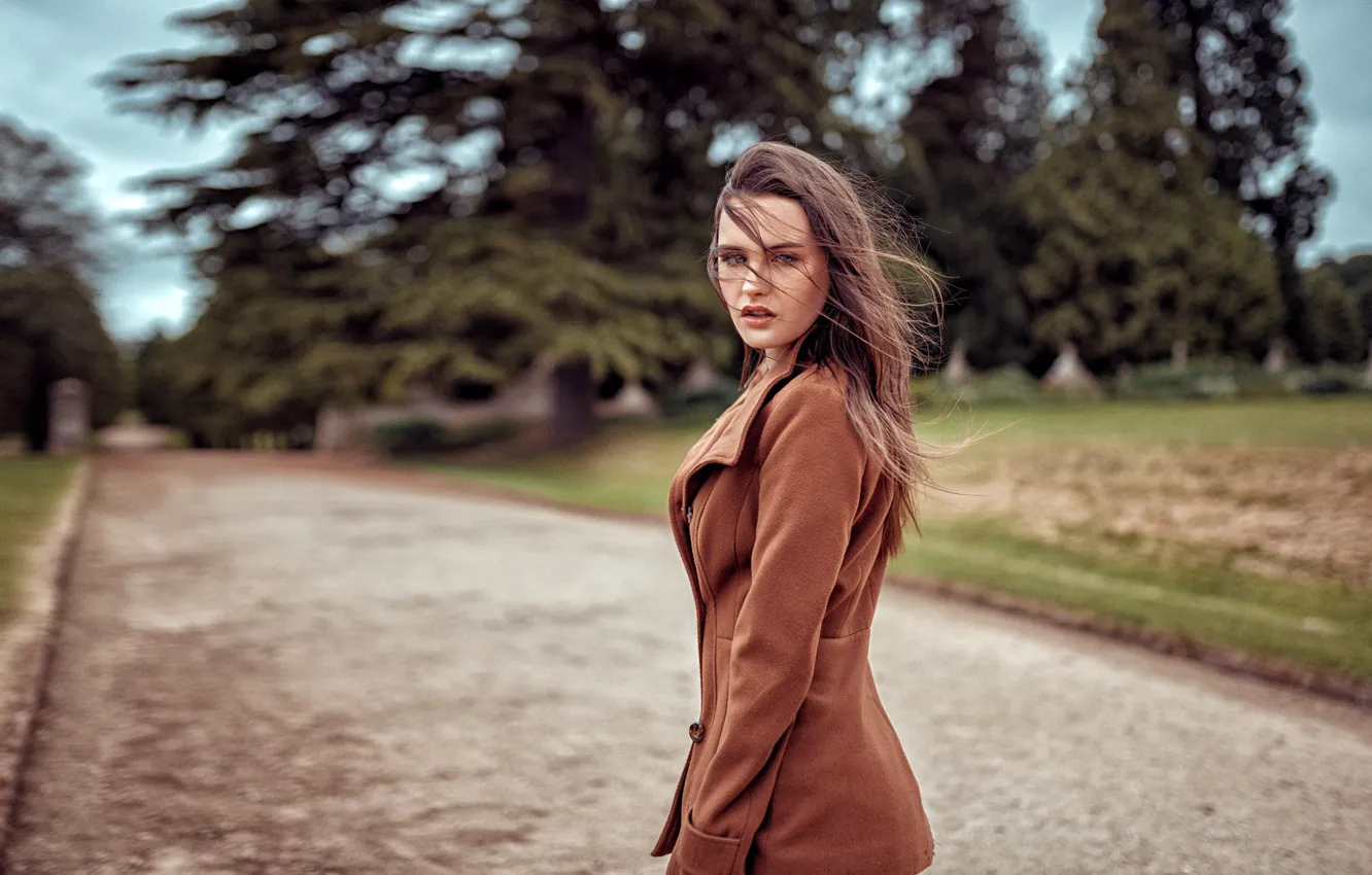 Photo wallpaper road, trees, model, portrait, makeup, hairstyle, brown hair, beauty