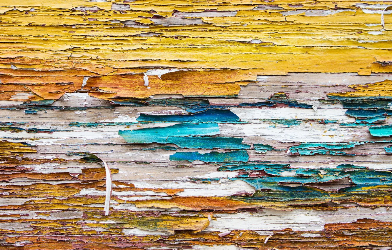 Photo wallpaper background, wall, texture