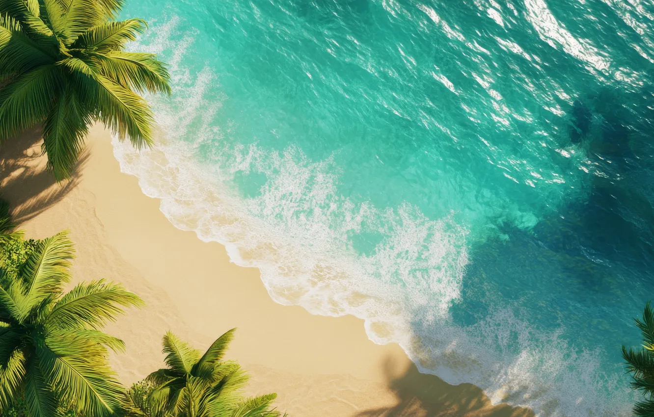 Photo wallpaper beach, palm trees, the ocean, beach, ocean, sand, palm trees, turquoise water