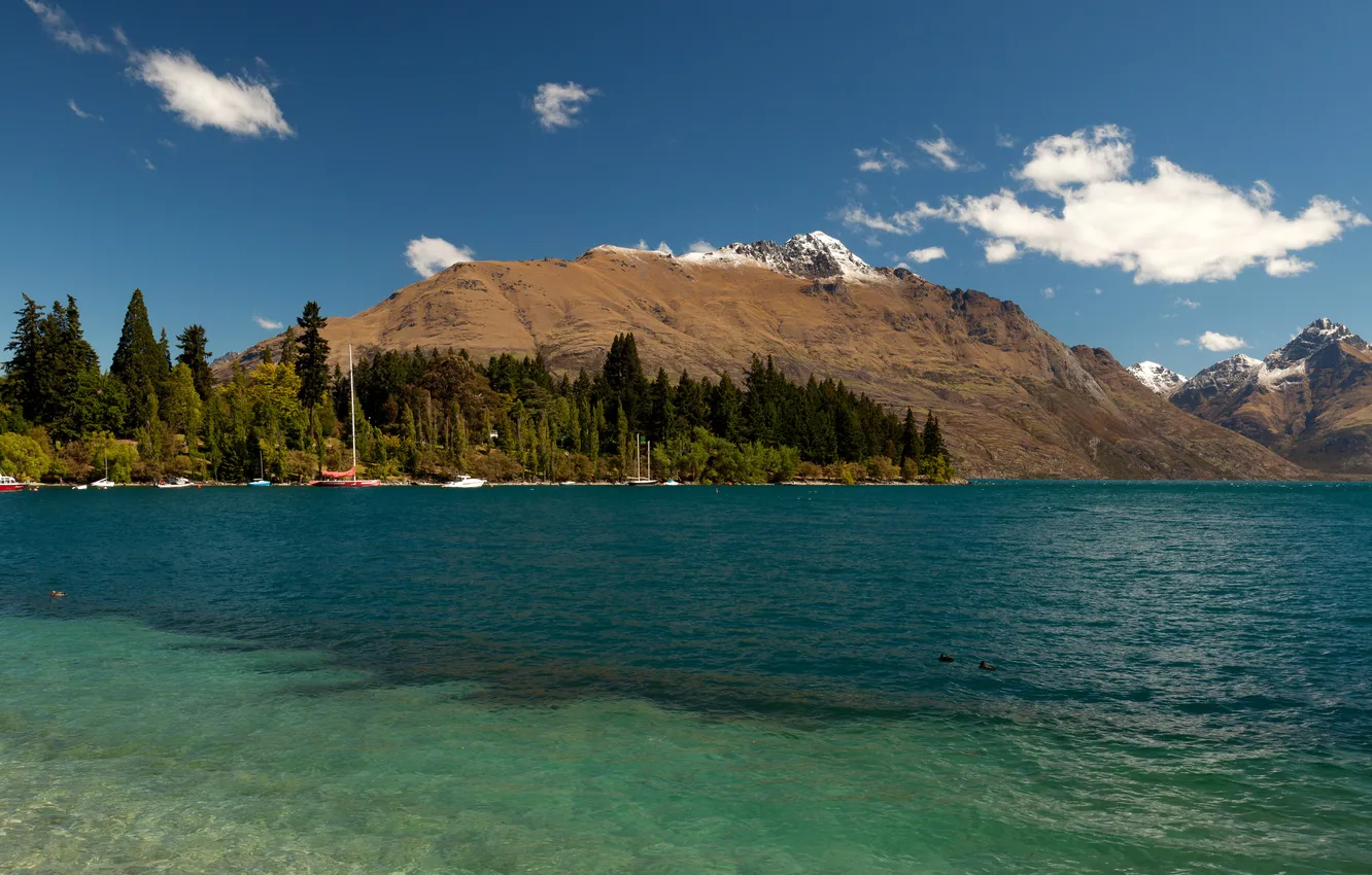 Photo wallpaper trees, mountains, lake, shore, boat, New Zealand, Wakatipu