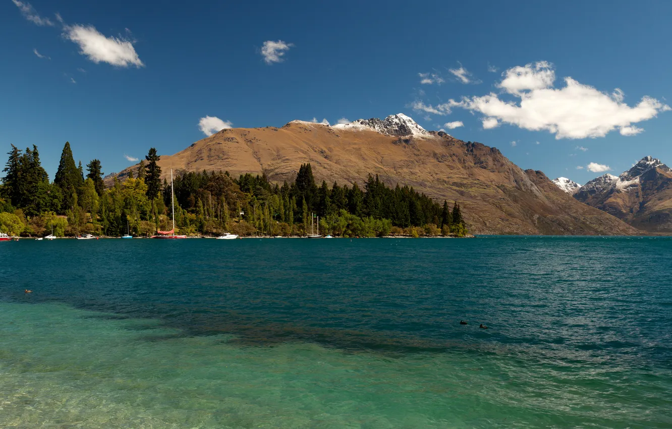 Photo wallpaper trees, mountains, lake, shore, boats, New Zealand, Wakatipu